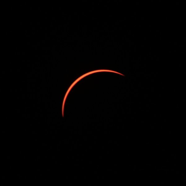 IMG_4638