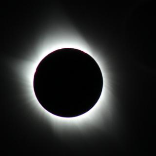 IMG_4635