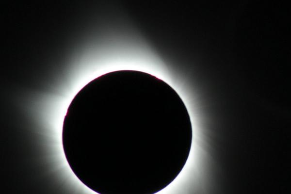 IMG 4635